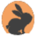 CodeRabbit