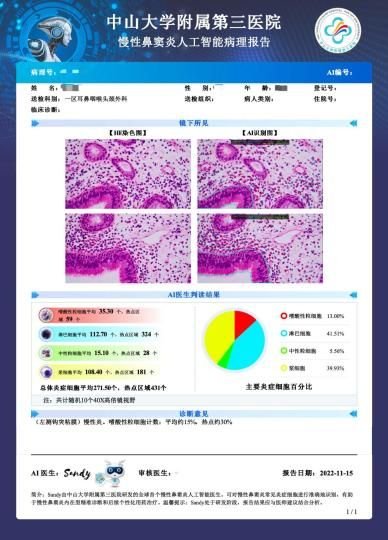 AI病理模型：医疗领域的革命性突破与投资新机遇