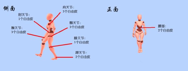 宇树科技H1人形机器人与GO2机器狗技术进展解析