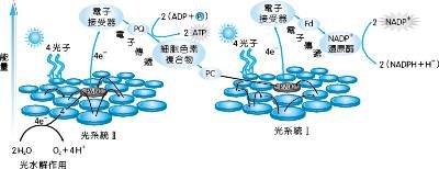 驭光系统：AI驱动下的智慧出行新篇章