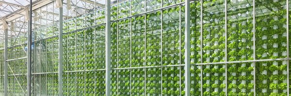 AI种植技术引领设施园艺新未来