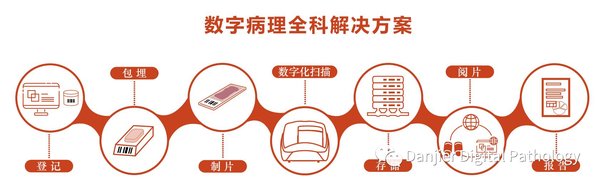 慧检：AI医疗与创新药的融合之路