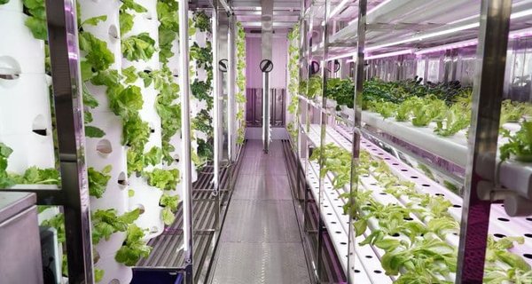 智能化集装箱植物工厂：未来农业的创新引擎