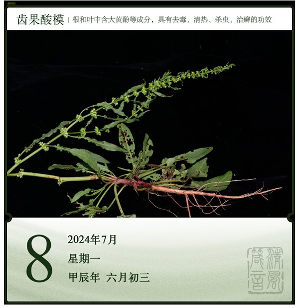 对抗AI造假：技术滥用与社会信任的挑战