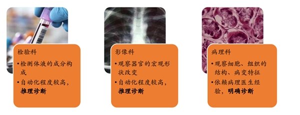 病理AI：从单病种到多病种的革命性跨越