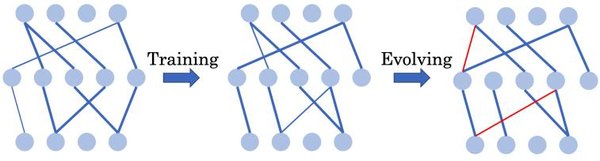 DeepSeek：开源AI模型与稀疏神经网络训练的引领者