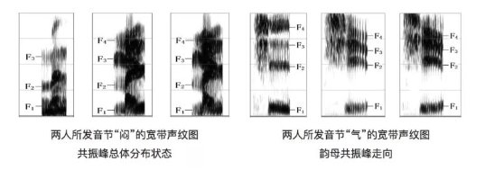 音频比对技术在企业舆情监测中的应用与挑战