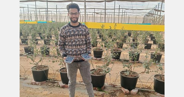 AI种植技术引领设施园艺新未来