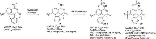 石药集团AI药物研发新突破：MAT2A抑制剂SYH2039与百济神州达成BD协议