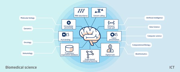 AI技术驱动医疗创新：从AlphaFold到药物研发的革命