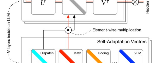 自适应大模型与微调技术：Fine-tuning 的未来发展