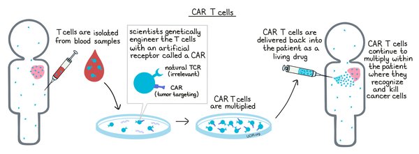 CAR-T细胞疗法的未来：从实验室到临床的跨越