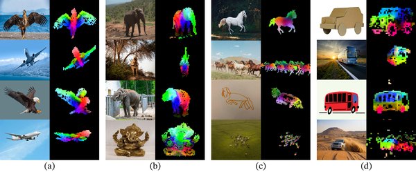 Transformer架构在视觉AI中的革命性突破：从DINOv2到3D理解