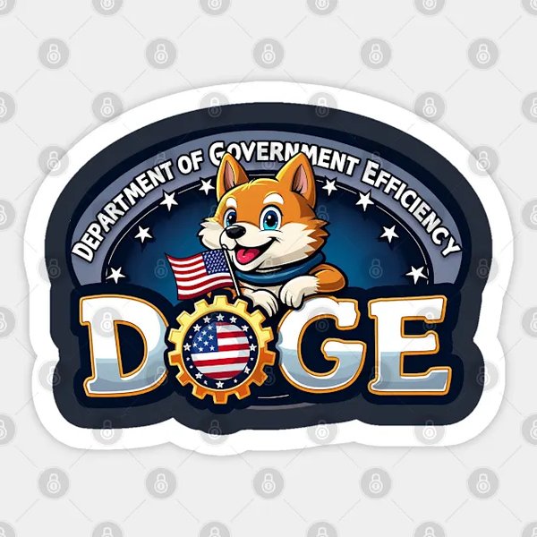 马斯克与DOGE：年轻工程师如何重塑美国政府效率？