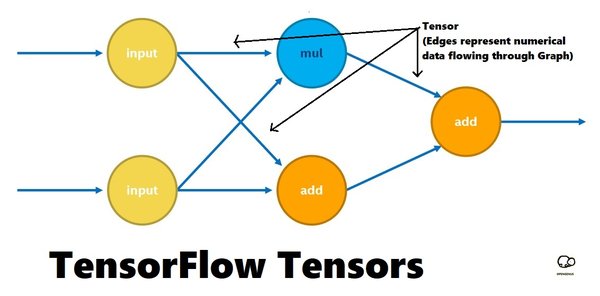 从零开始掌握TensorFlow：深度学习入门指南