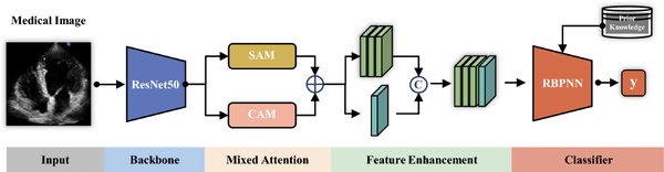 ResNet-50 的革新与未来：从深度学习模型到 AI 芯片的跨越