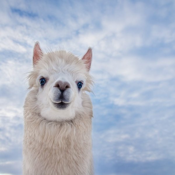 Meta Llama 3：超越GPT-4的AI革命