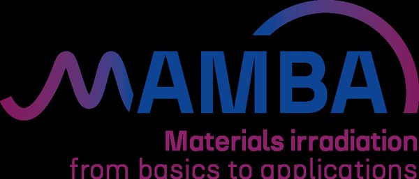 Mamba架构：混合扫描技术的革新与应用