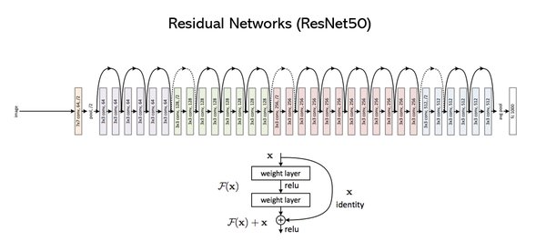 深入解析ResNet：从残差块到深度学习应用