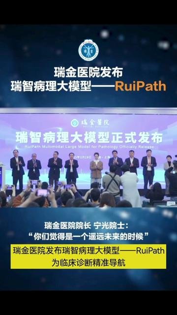 AI病理模型：医疗领域的革命性突破与投资新机遇