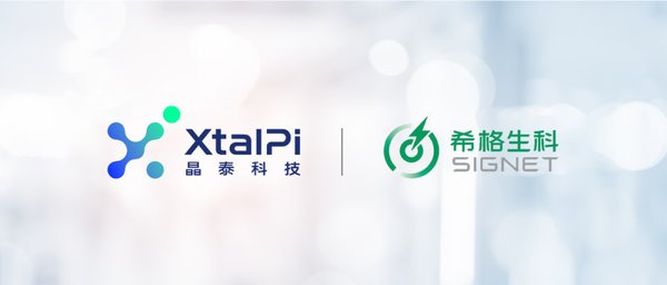 AI医疗领域的突破与未来：从SIGX1094到精准诊疗