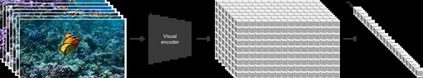 Spacetime Patch：Sora视频生成技术的核心突破