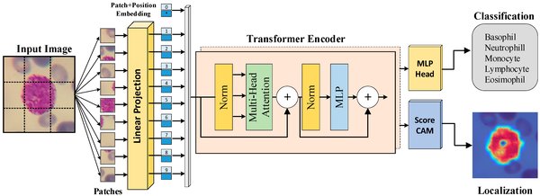 ImageNet与深度学习：从AlexNet到Perceptual MAE的进化之路