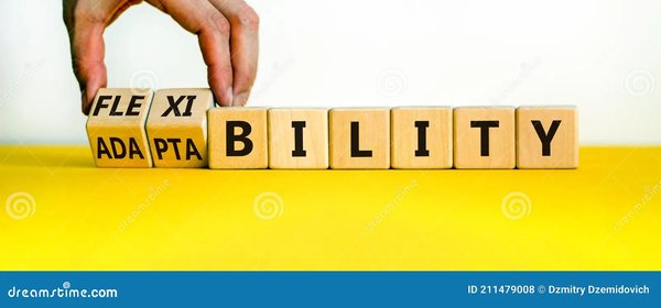 AI与Rule Base算法：智能驾驶的技术对决