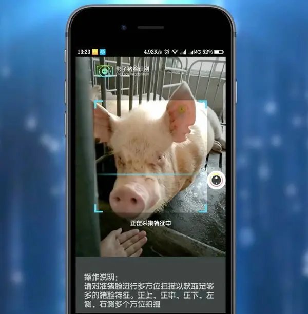 生猪养殖AI大脑：智能化养殖的未来之路
