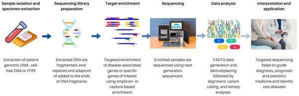 AlphaFold与生物序列语言模型：推动AI驱动的生物学研究新前沿