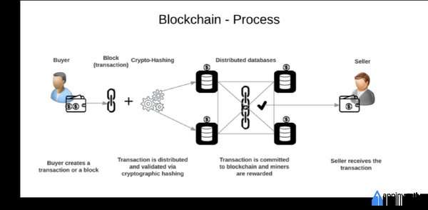 区块链技术：从概念到应用，探索供应链金融与数据存证的未来