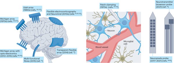 生物计算机CL1：碳基与硅基融合的革命性突破