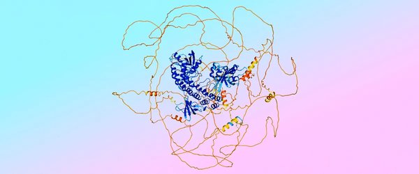 扩散模型融合架构：从蛋白质设计到药物研发的革命性突破