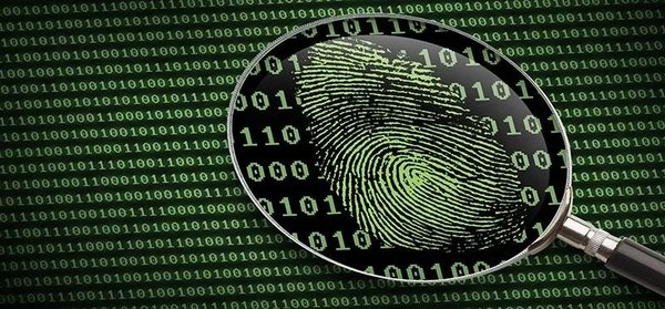 电子取证工具：打击网络犯罪与保护数字资产的利器