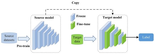 自适应大模型与微调技术：Fine-tuning 的未来发展