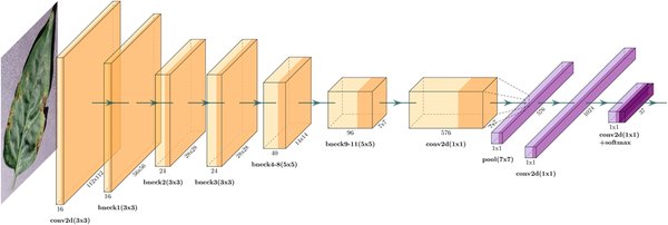 EfficientNet与轻量化神经网络：移动端AI的未来趋势