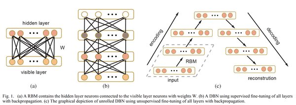 解码动态视觉感知：EEG2Video技术的突破与应用