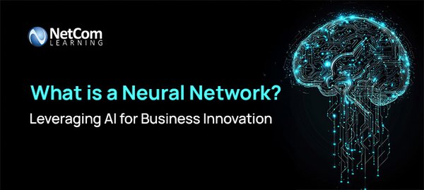 神经网络系统在量子纠错与AI时代的创新应用