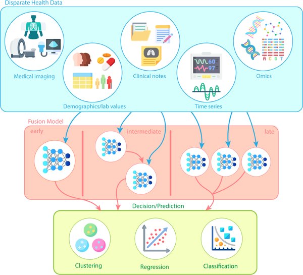 多模态医学大模型：AI赋能医疗的未来
