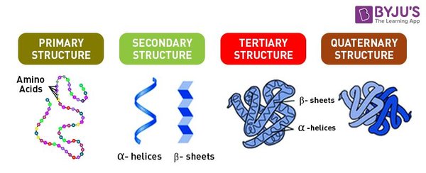 AlphaFold：人工智能与生物科学的完美融合
