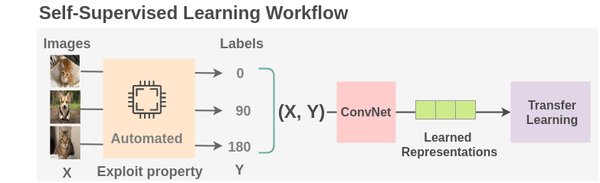 自监督学习：开启AI模型训练的新纪元