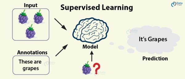 自监督学习：开启AI模型训练的新纪元