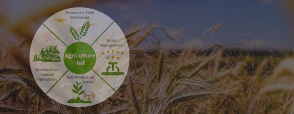 智能农业新利器：圣启科技虫情测报仪助力小麦返青期管理