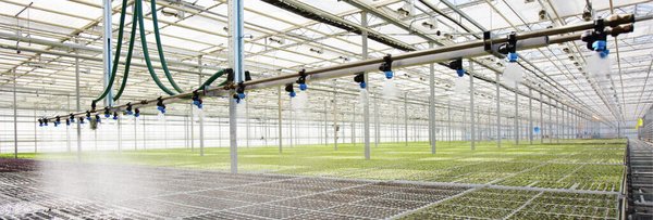 智能温室自动化灌溉系统：科技赋能现代农业的新引擎