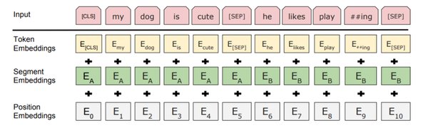 NLP预处理技术：从基础到高级的全面解析