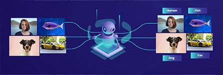 无监督学习在计算机视觉中的应用与挑战